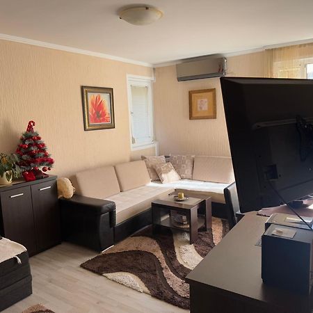 Studio Apartment For Rent In Budva Exteriör bild