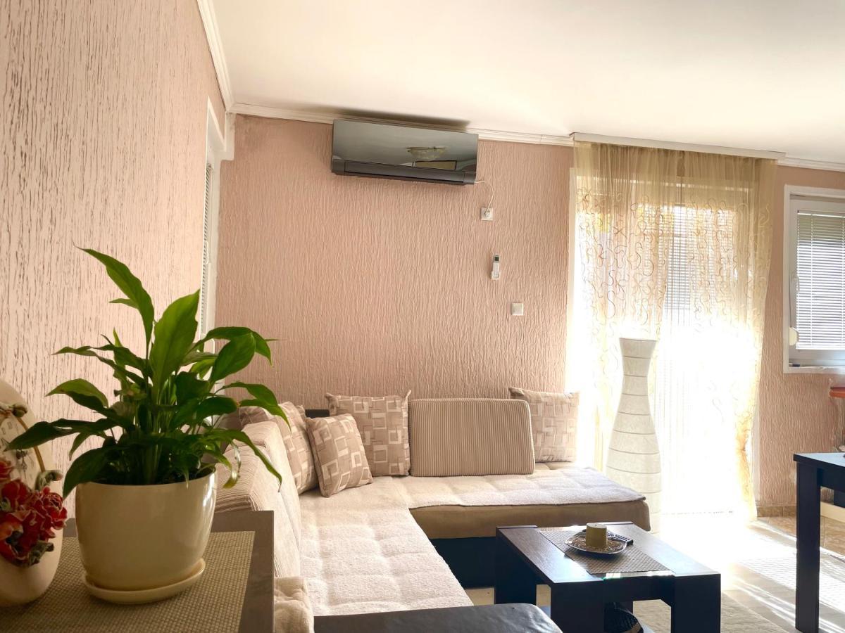 Studio Apartment For Rent In Budva Exteriör bild